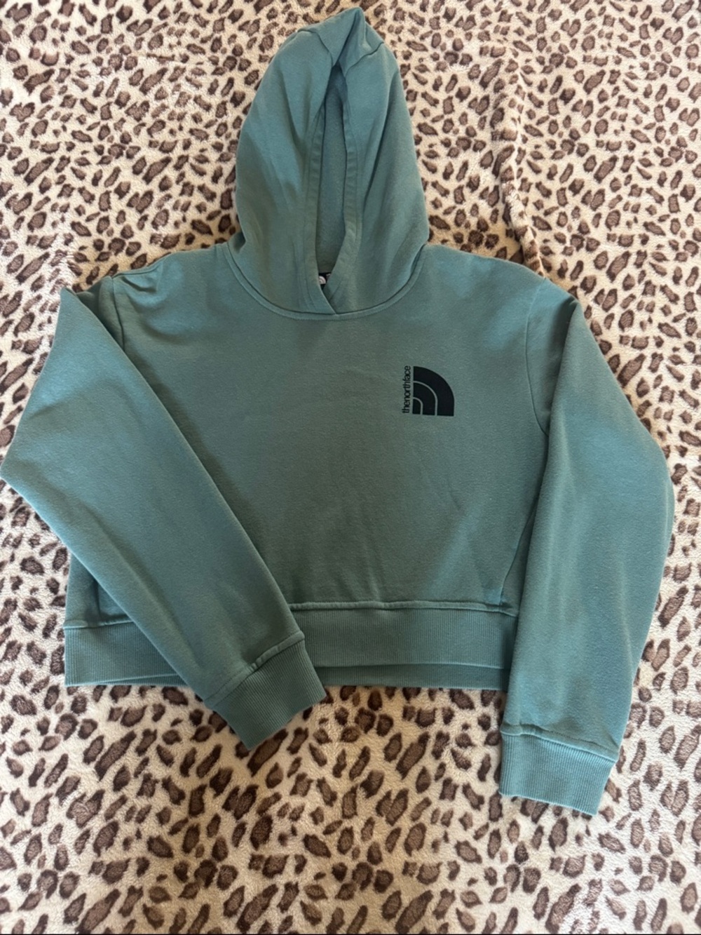 The North Face Cropped Hoodie in Sage Green with Black Logo